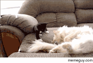 Wake Up