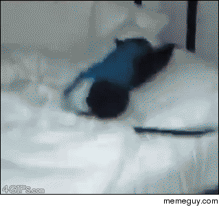 Wake up