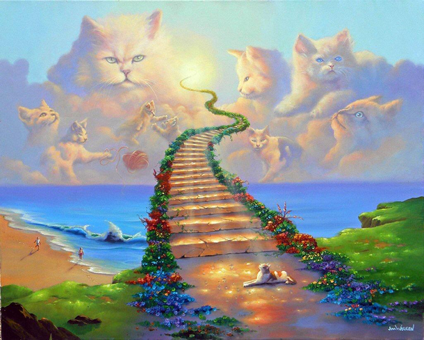 waking up to all the shoulder cats in reddit like