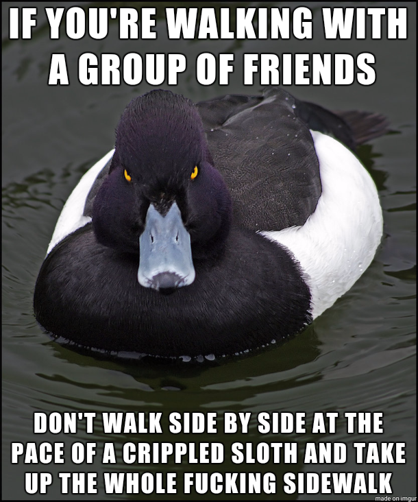 Walk two by two or something god damn it