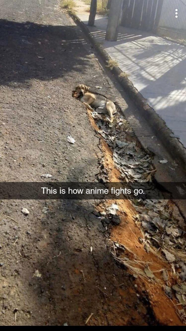 Walked Into The Middle Of An Anime Battle