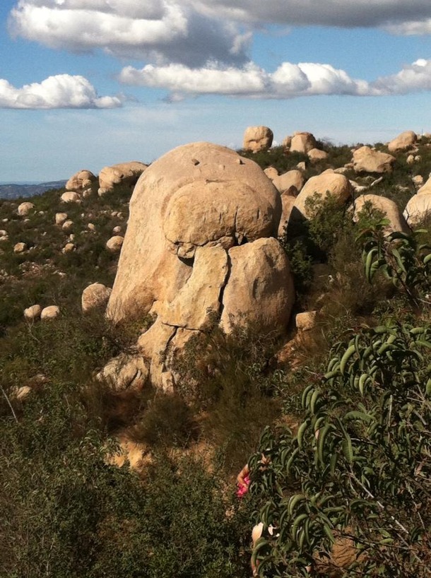 Walrus Rock