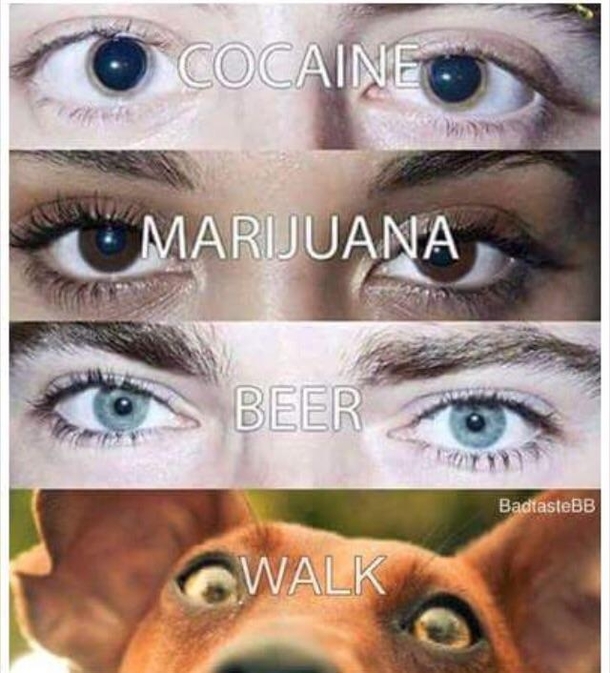 Wanna go for a