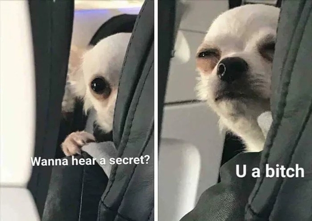 Wanna hear a secret