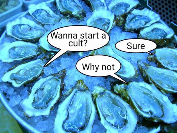 Wanna start a cult