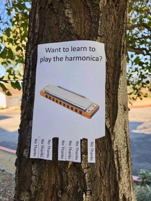 Want to learn how to play harmonica