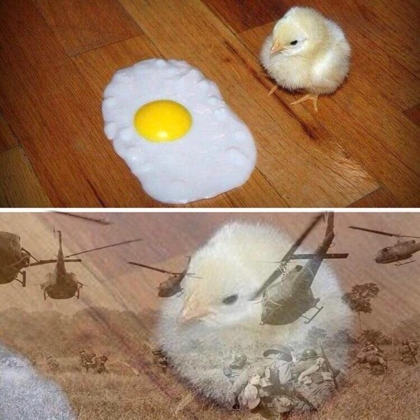 War never changes
