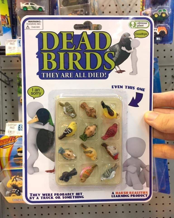Warning Birds were hurt in the making of this toy
