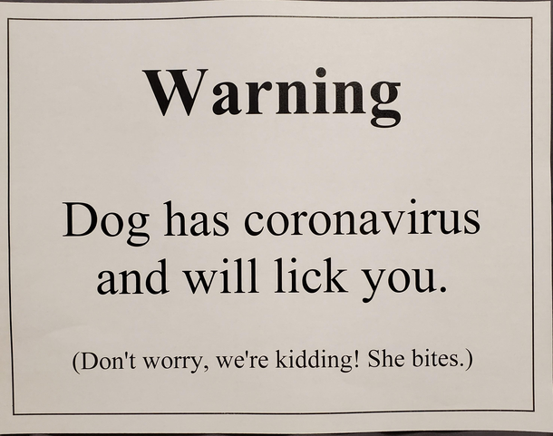 Warning Dog has coronavirus