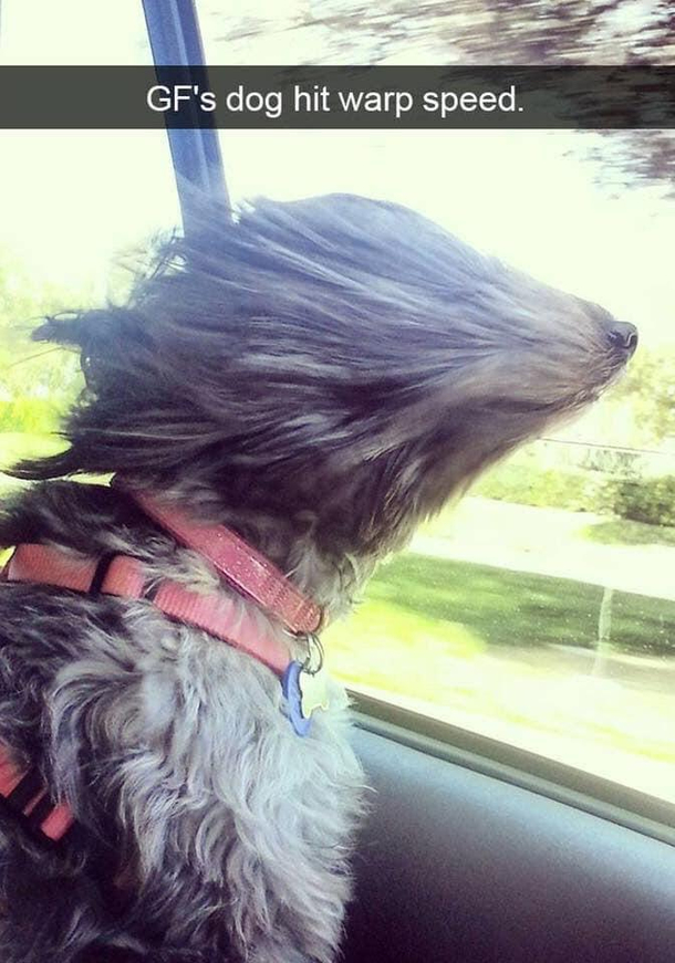 Warp Speed