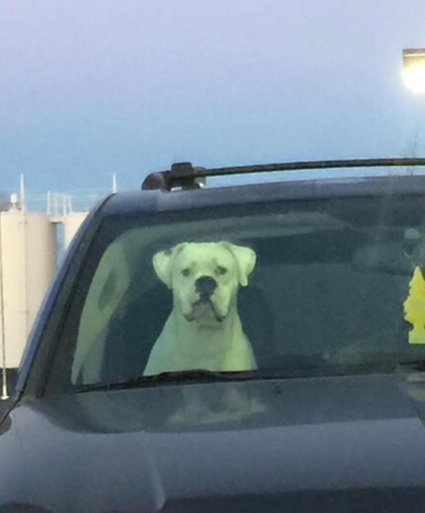 Was forced to stop short unexpectedly Looked in my rear view mirror and saw this