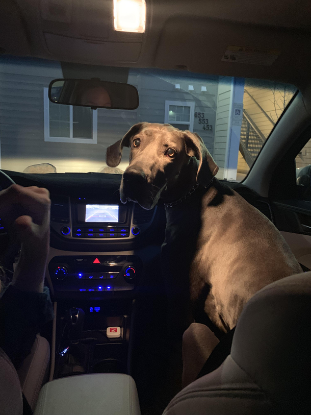 Was going somewhere with a friend Called shotgun Did not get shotgun
