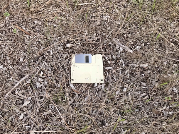 Was hiking in the bush and found this - when random save points appear something terrible is about to happen right