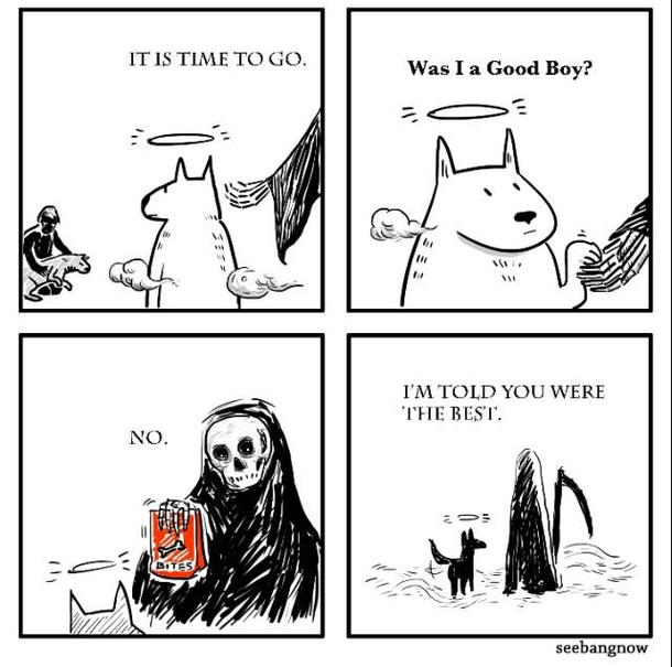 Was I a good boy