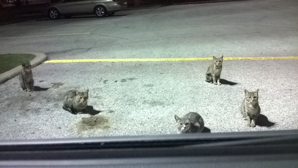 Was in the Taco Bell parking lot when I had the feeling I had come to the wrong neighborhood