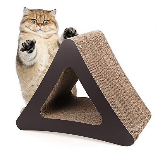 Was looking for a cat scratcher for my kittens when I came across this fella
