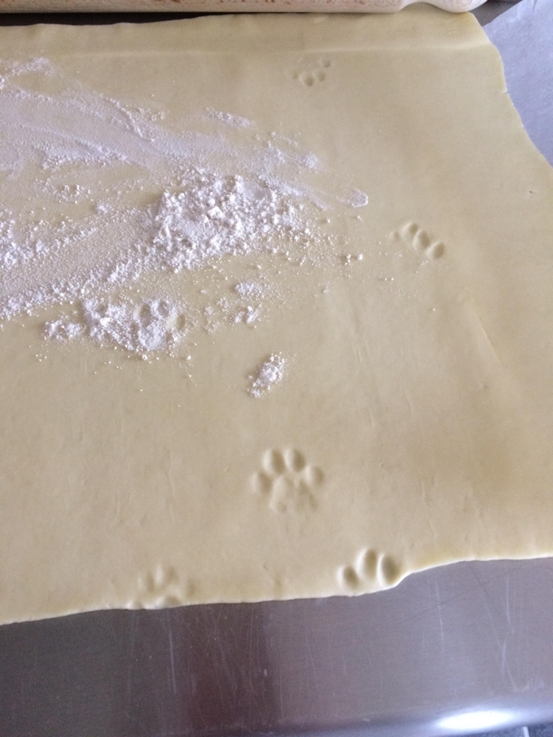 Was making a quiche turned my back for  seconds