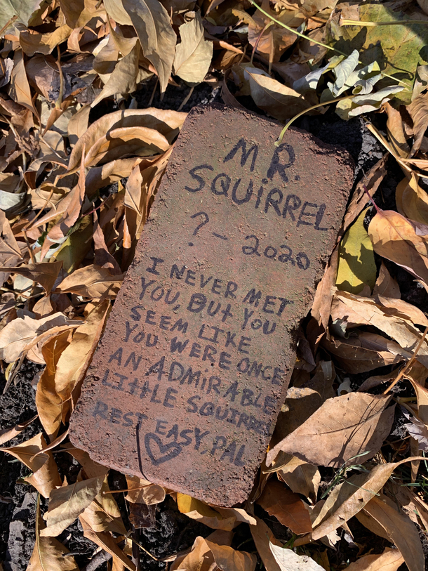 Was not expecting to find a headstone on my dog walk