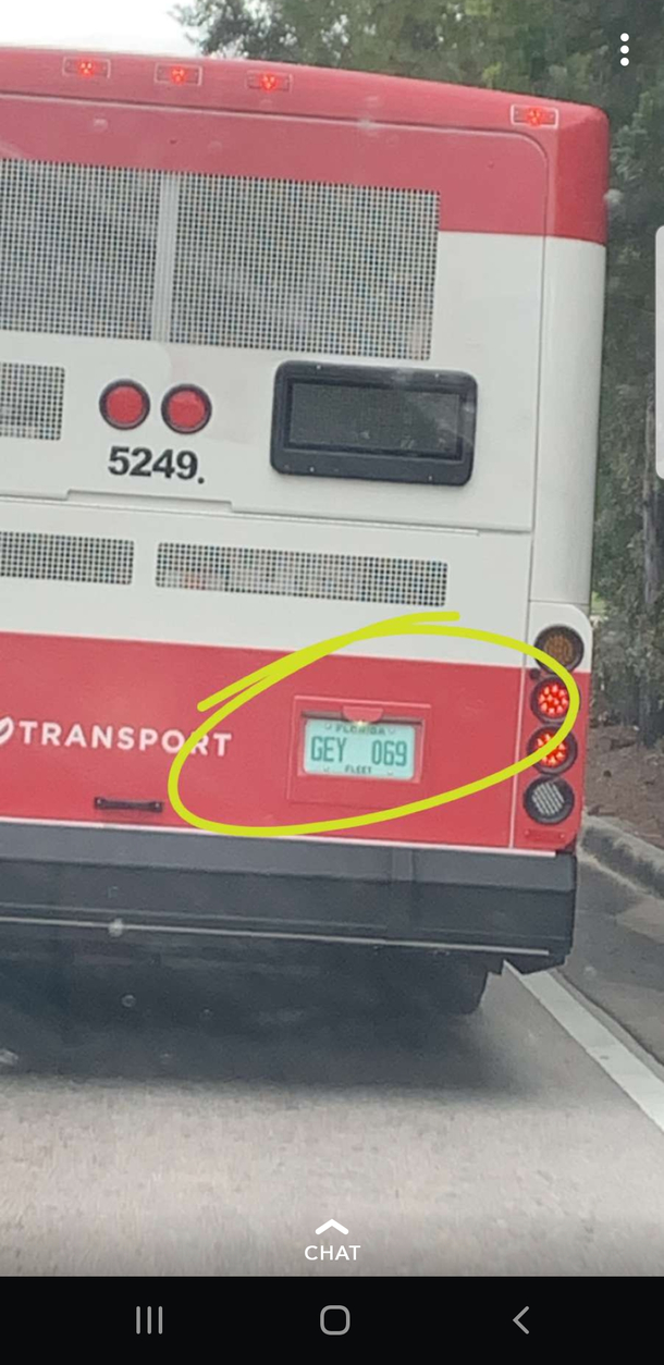 Was riding behind a bus at Disney world