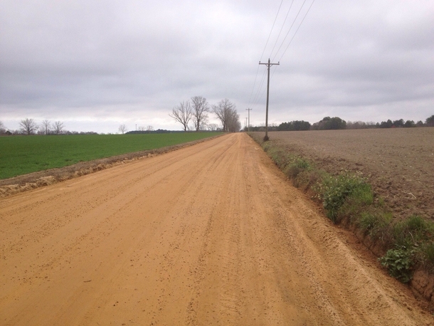 Was riding with my co worker to a job and I said You know thd grass really is greener on the other side He was also amused