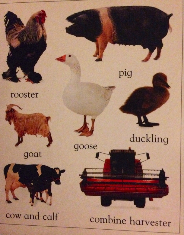 Was teaching beginner words to my  year old when