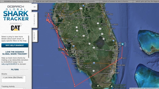 Was tracking the movements of sharks online when OH SHI--