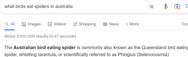 Was wondering if having a pet bird would help with spider problems in Australia