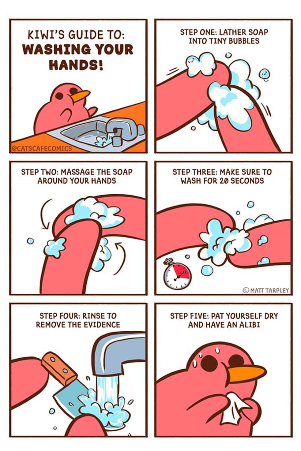 Wash wash scrub scrub