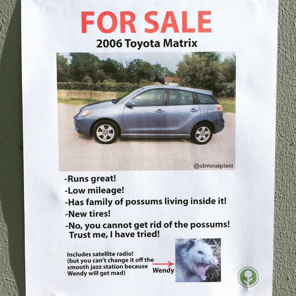 Watch out for Wendy