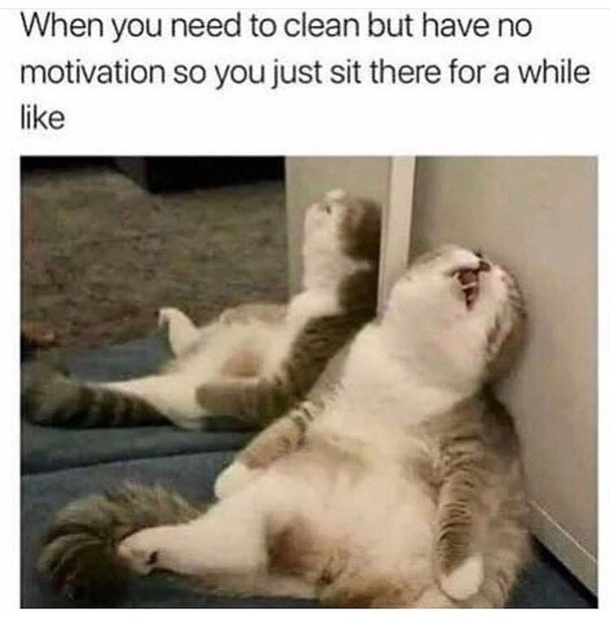 Watches full season on Netflix
