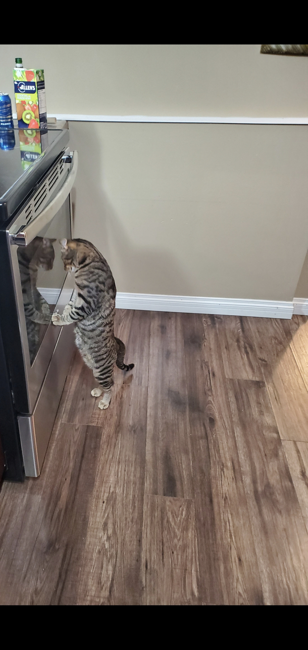 Watching bacon cook