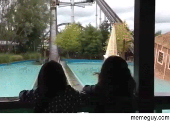 Watching from a safe distance