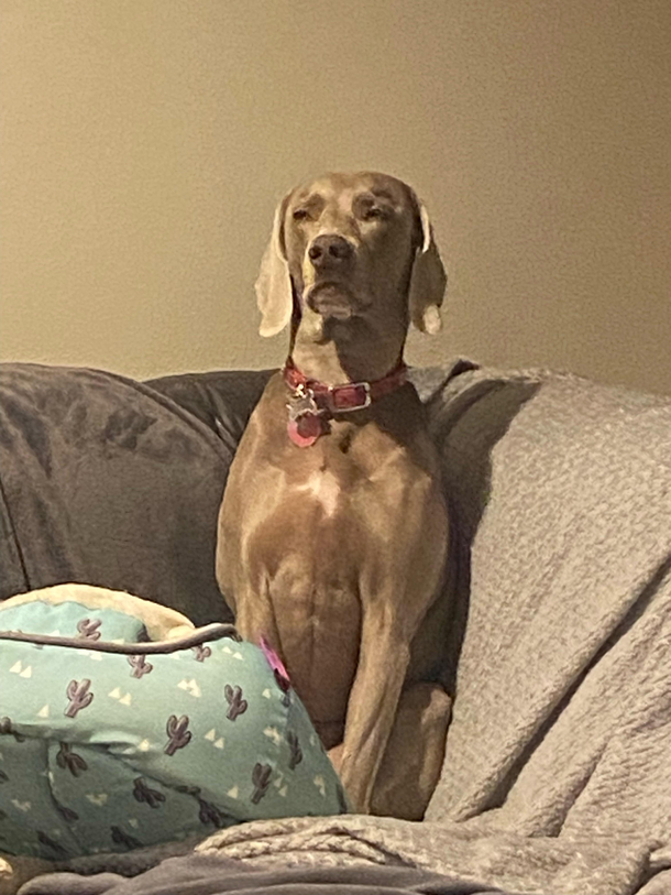 Watching mom cook Thanksgiving dinner