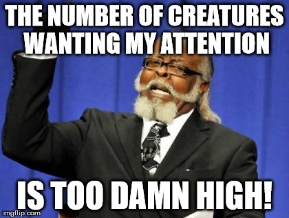 Watching my mother-in-laws dog have  dogs and a cat of our own and my wife is sick