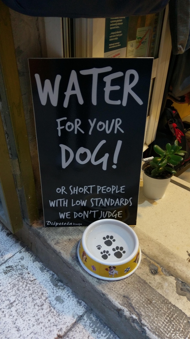 Water for your dog
