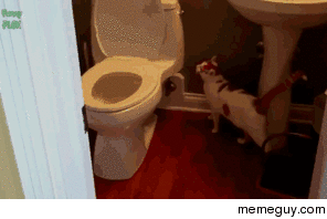 water go down the hole