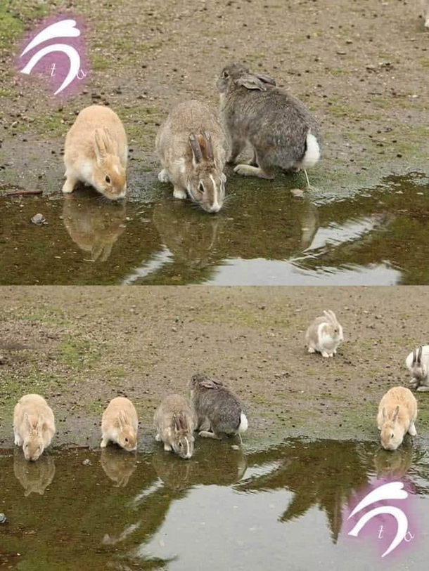 Water seems salty