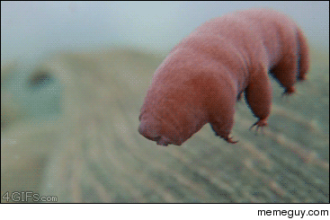 Waterbears can go without food or water for more than a decade They can survive temperatures from zero to above the boiling point of water pressure six times stronger than the deepest ocean trench radiation hundreds of times higher than the fatal dose for