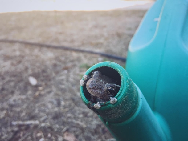 Watering can was acting a bit funny today Heres the reason