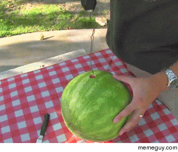 Watermelon juice in seconds 