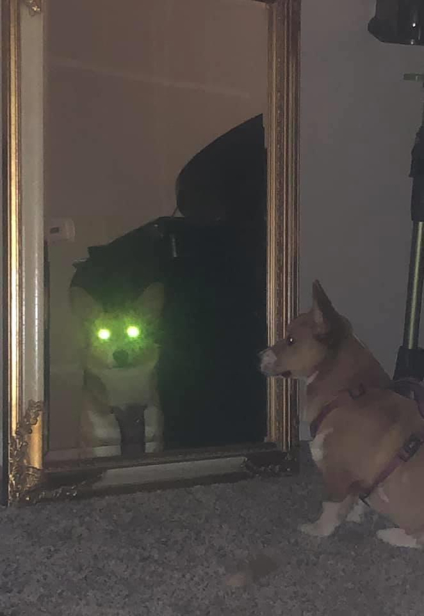 We all have demons