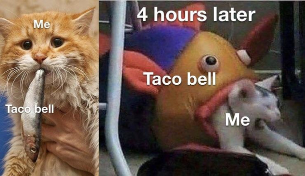 We all knew how it was going to end