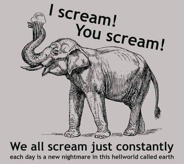 We all scream
