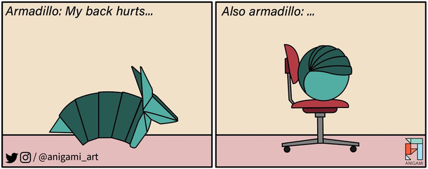 We are all Armadillo