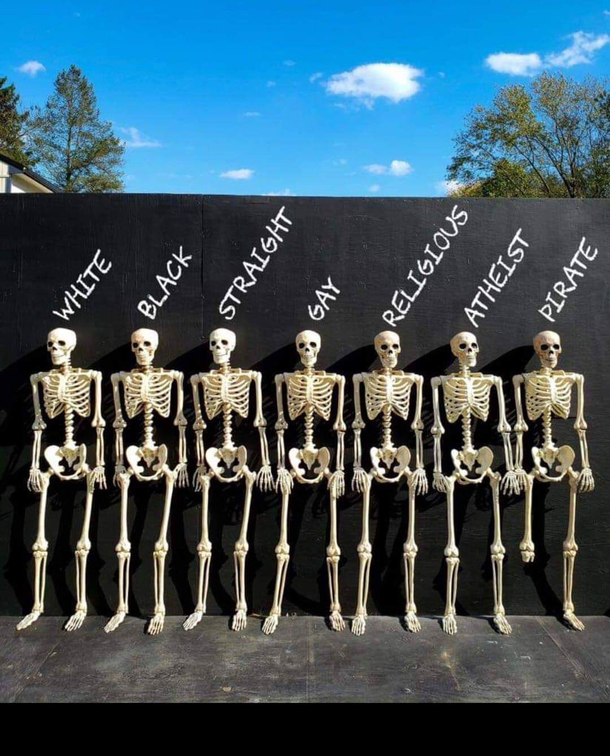 We are all the same almost all the same