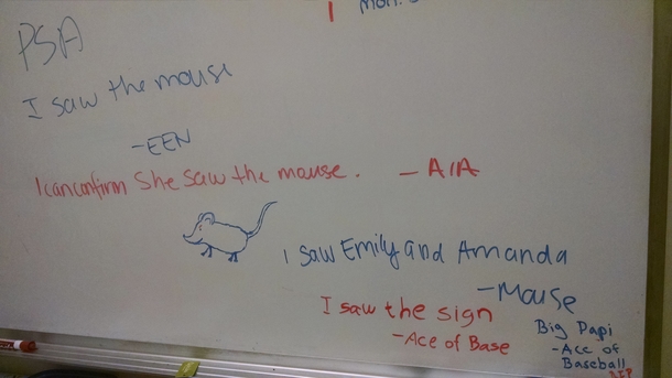 We are hunting a mouse in our office