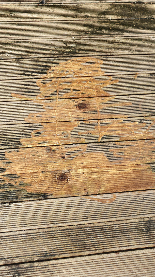 We bought a power washer to clean the deck The first thing my other half drew was thisexcept the pressure was too high and its now etched into the wood