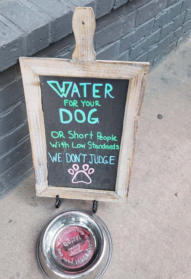 We dont judge