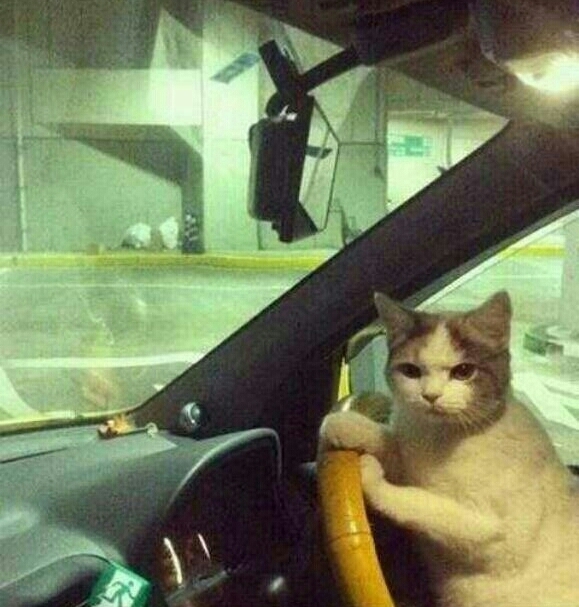 We dont need to ask for directions Helen