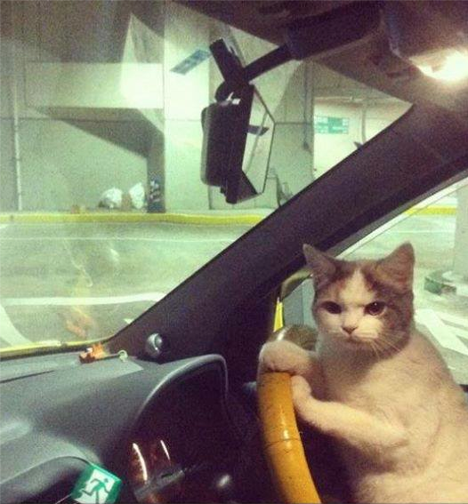 We dont need to ask for directions Helen